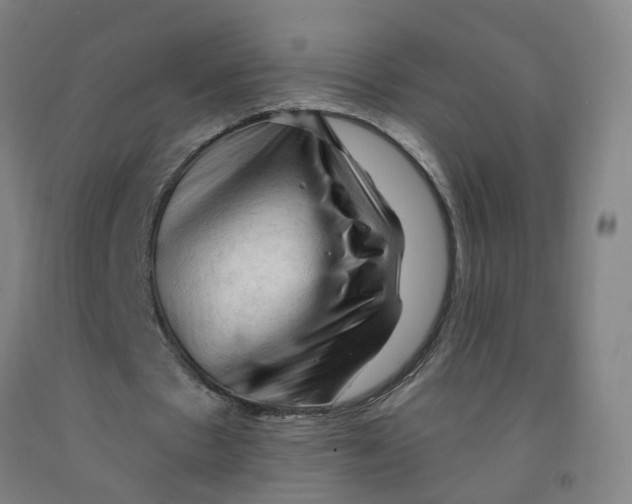 X0000091970481200709271410