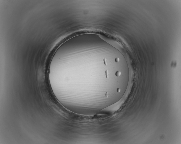 X0000091970484200709271410