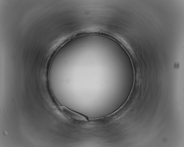 X0000091970485200709271410
