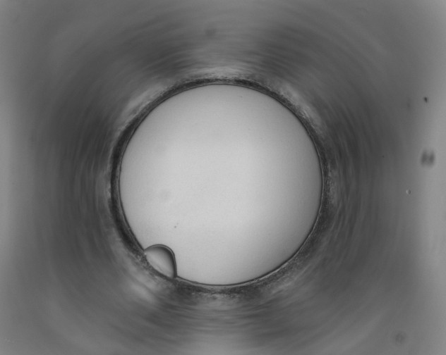 X0000091970486200709271410