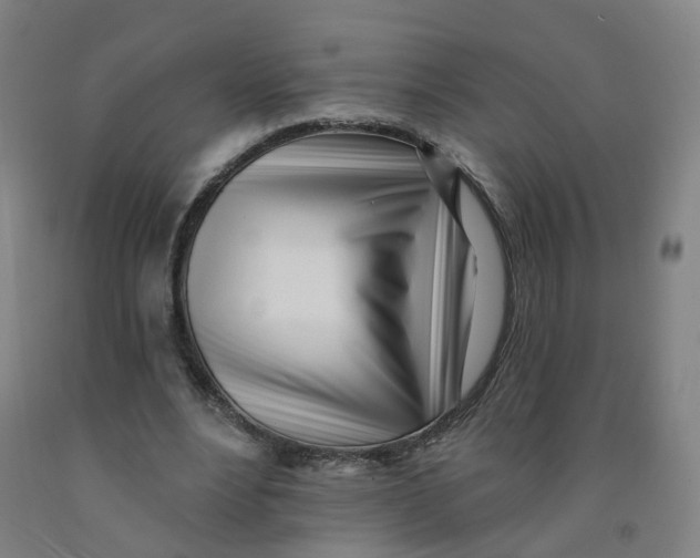 X0000091970488200709271410