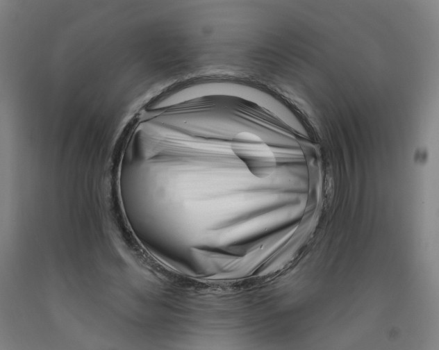 X0000091970492200709271410