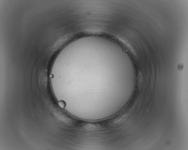 X0000091970494200709271410