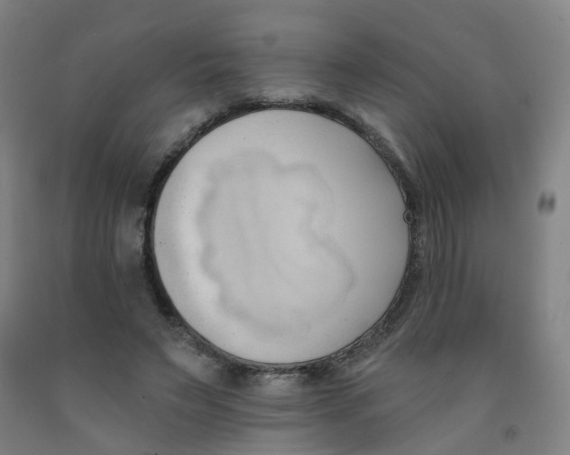 X0000091970495200709271410