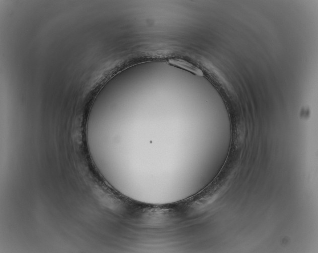 X0000091970497200709271410