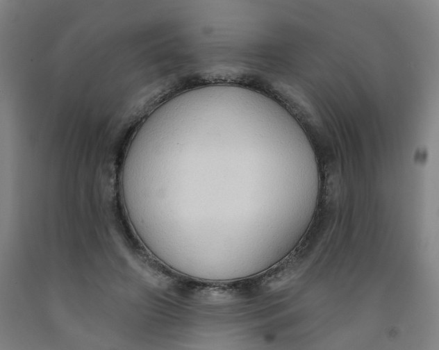 X0000091970498200709271410