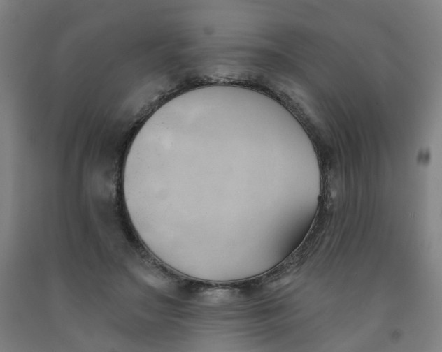 X0000091970499200709271410