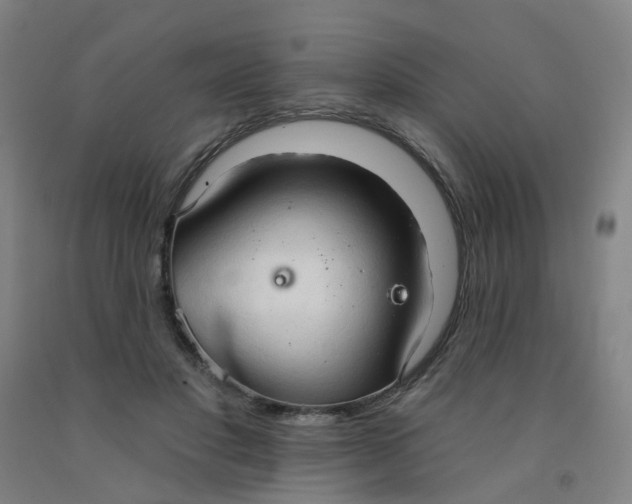 X0000091970501200709271410