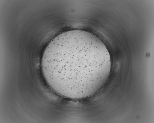 X0000091970502200709271410