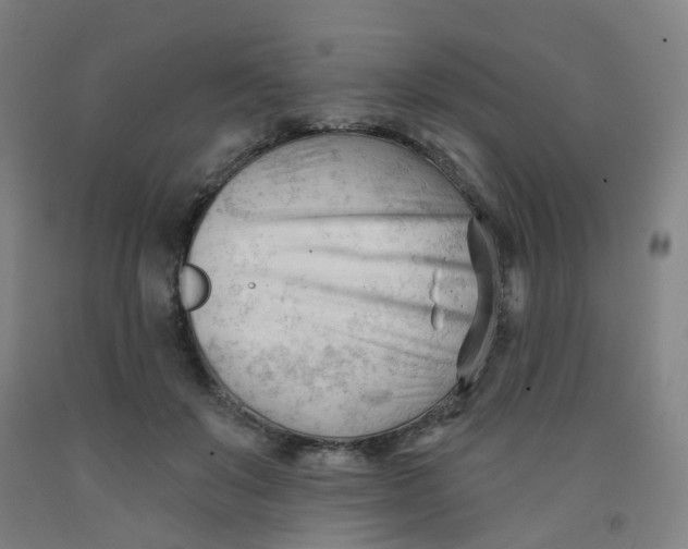 X0000091970503200709271410