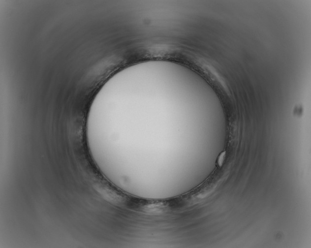 X0000091970505200709271409