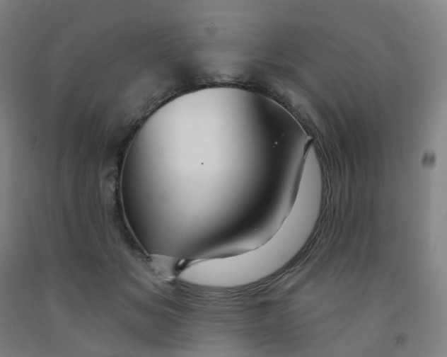 X0000091970509200709271409
