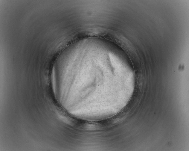 X0000091970510200709271409