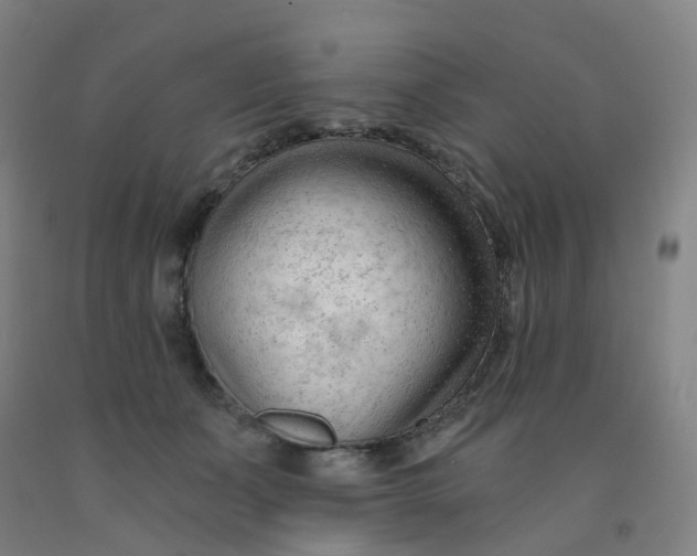 X0000091970511200709271409