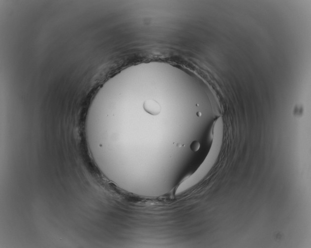 X0000091970512200709271409
