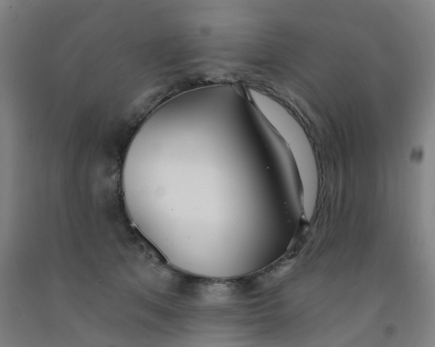 X0000091970513200709271409