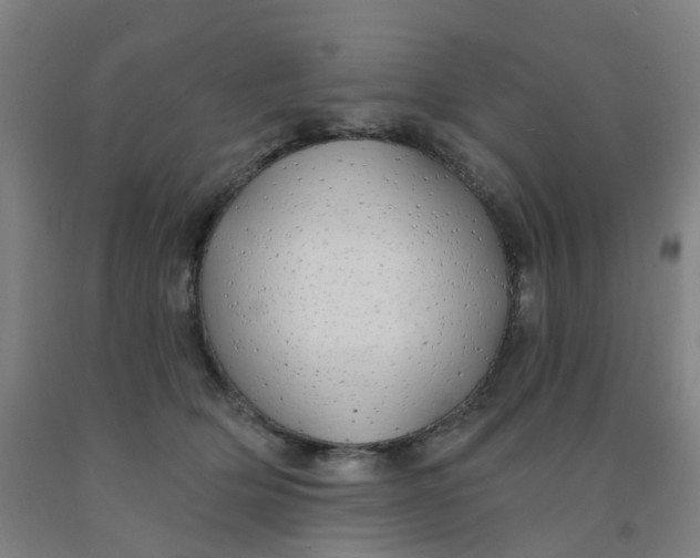 X0000091970514200709271409