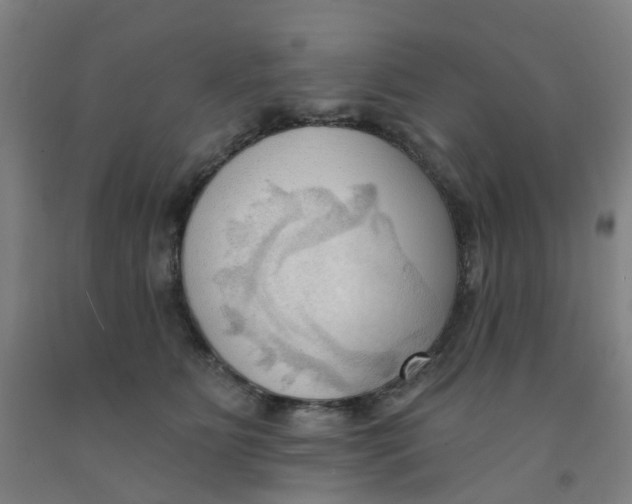 X0000091970515200709271409