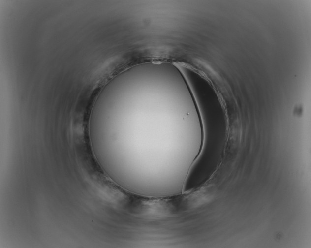 X0000091970516200709271409