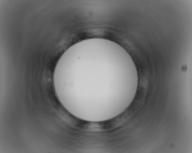 X0000091970518200709271409