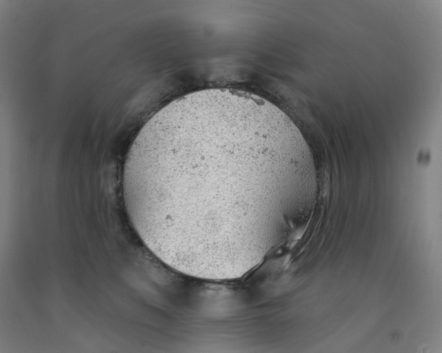 X0000091970519200709271409