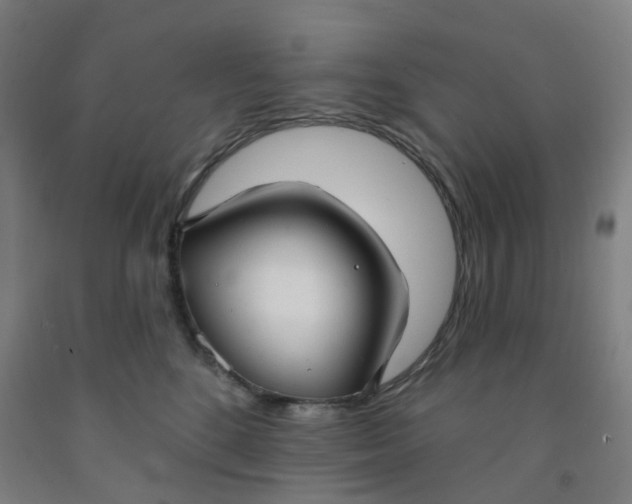 X0000091970520200709271409