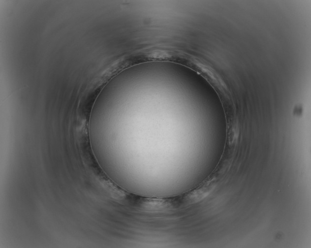 X0000091970521200709271409