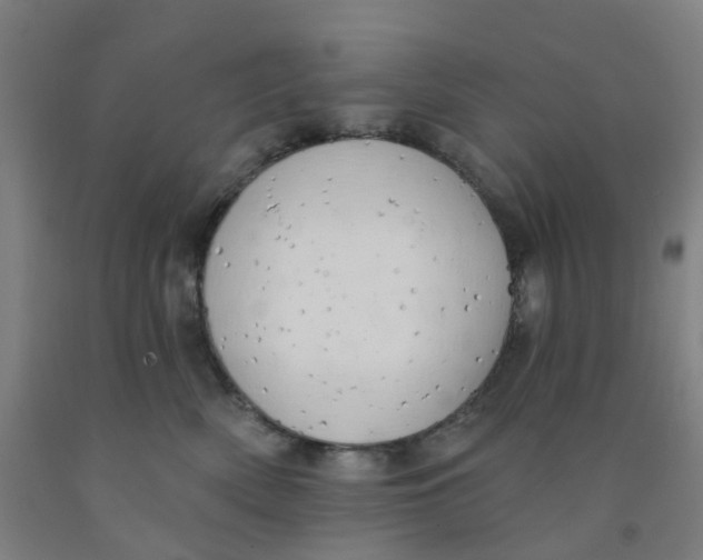 X0000091970522200709271409