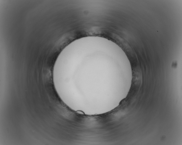 X0000091970523200709271409