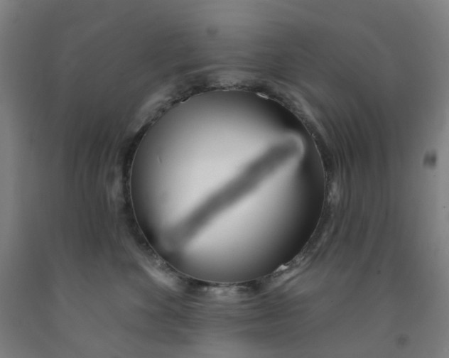 X0000091970524200709271409