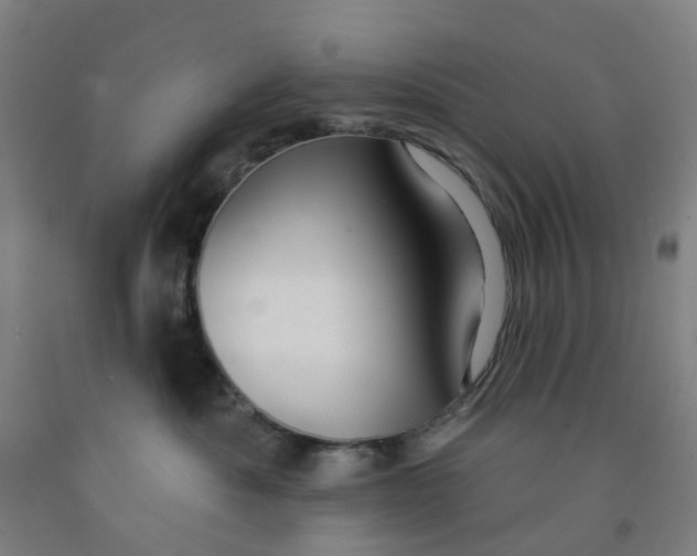 X0000091970525200709271409