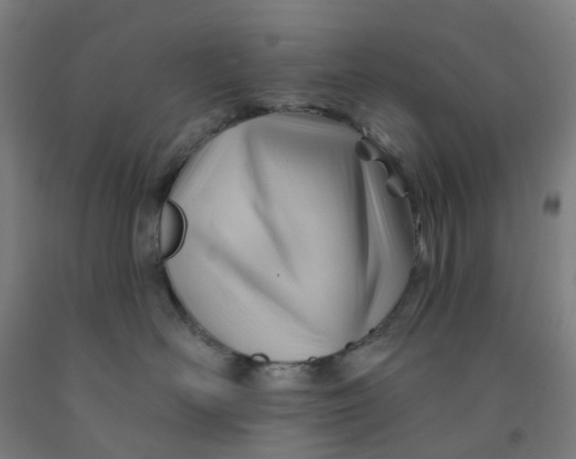 X0000091970526200709271409