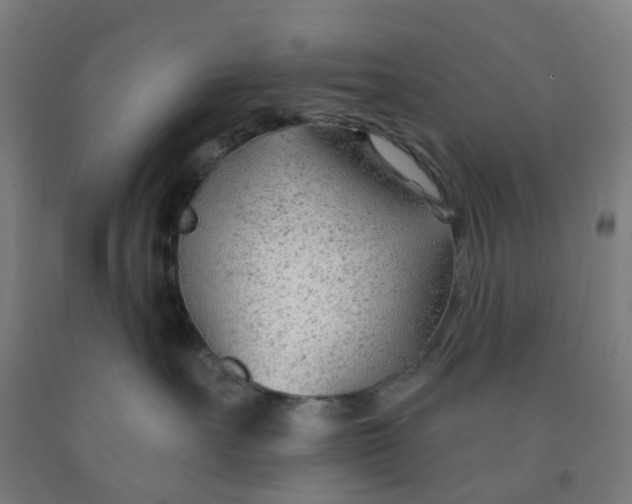 X0000091970527200709271409