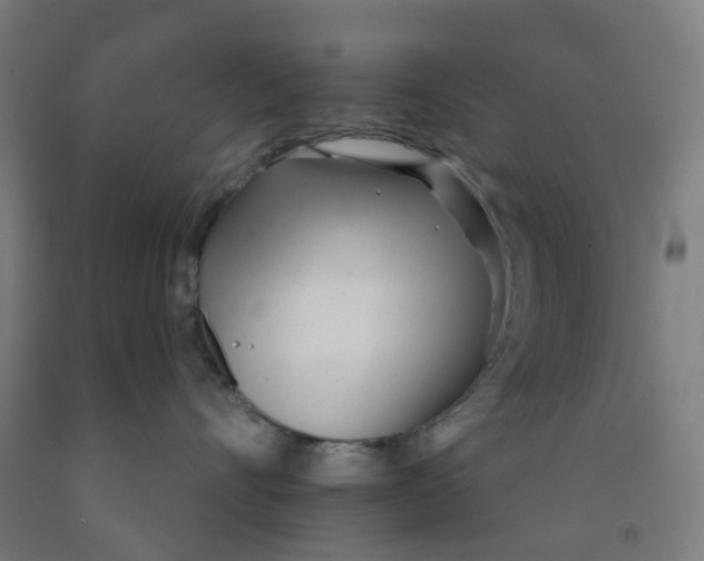 X0000091970528200709271409