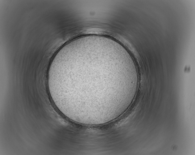 X0000091970529200709271409