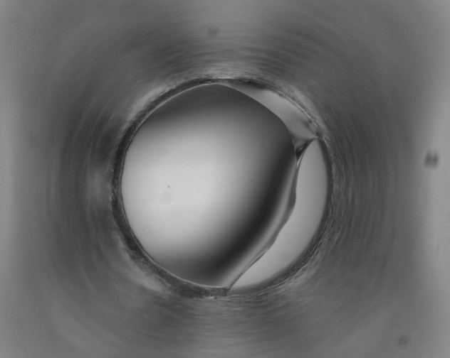 X0000091970530200709271409