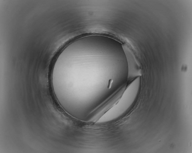 X0000091970531200709271409