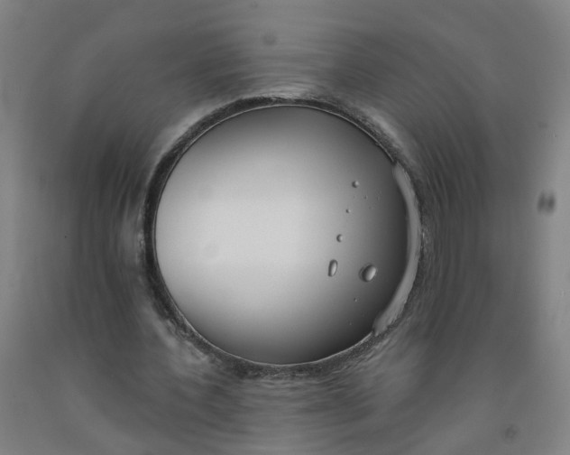 X0000091970532200709271409
