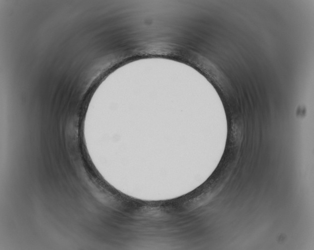 X0000091970534200709271409