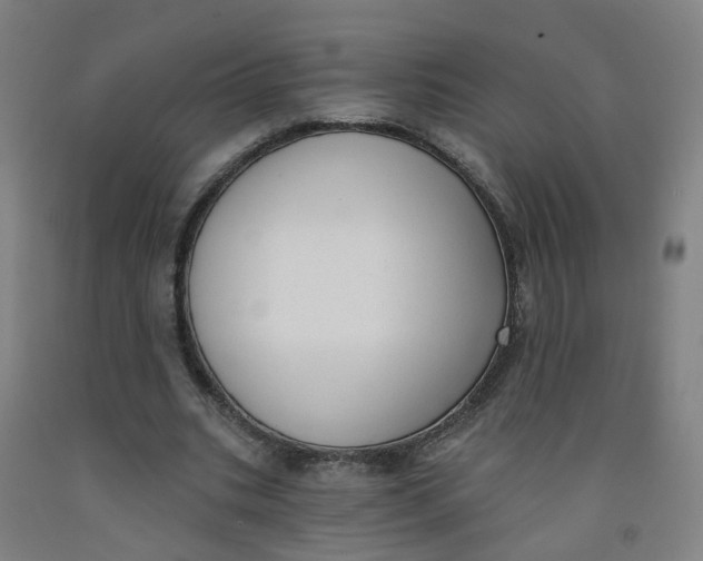 X0000091970535200709271409