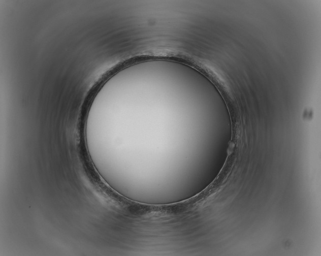 X0000091970536200709271409