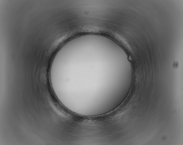 X0000091970538200709271409