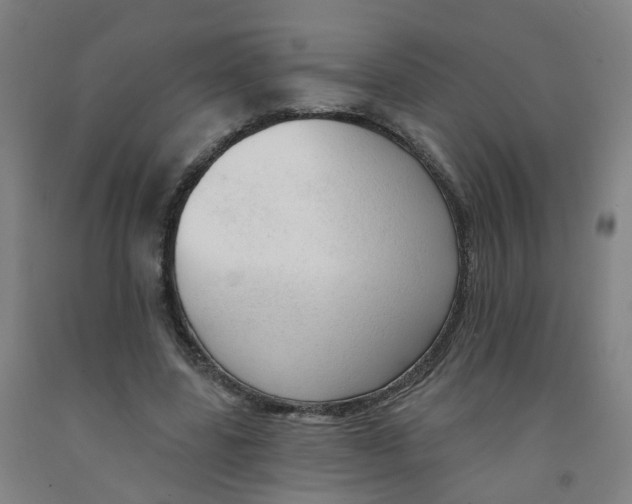 X0000091970539200709271409