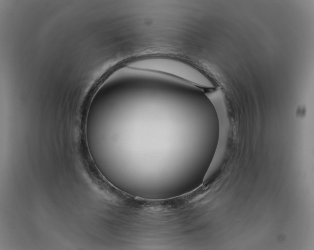 X0000091970540200709271409