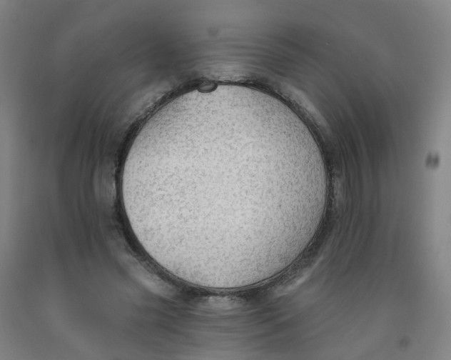 X0000091970541200709271409