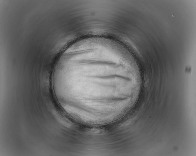 X0000091970542200709271409