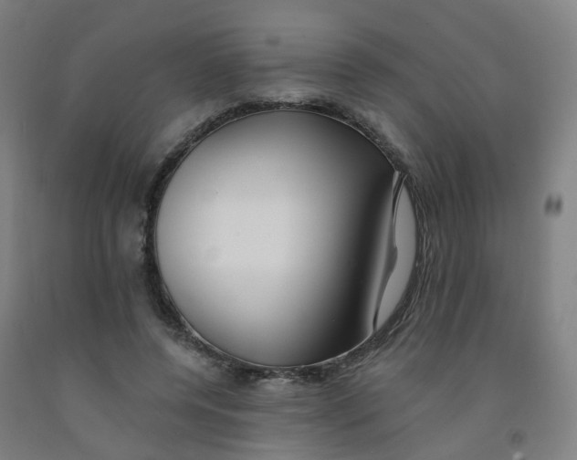 X0000091970544200709271409