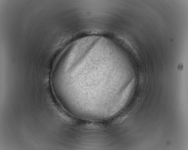 X0000091970545200709271409