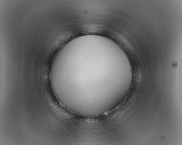 X0000091970546200709271409