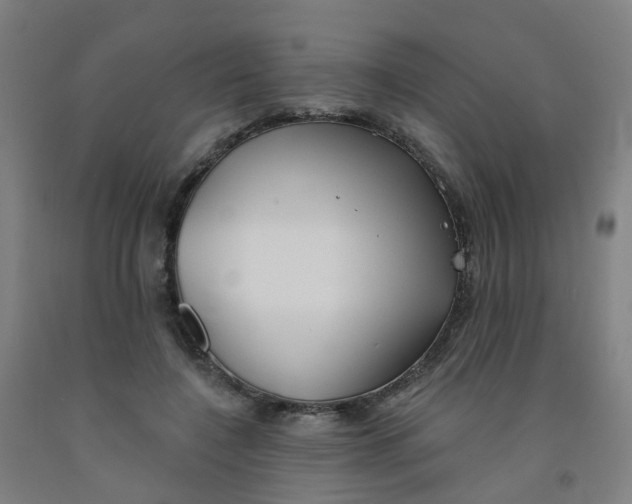 X0000091970548200709271409